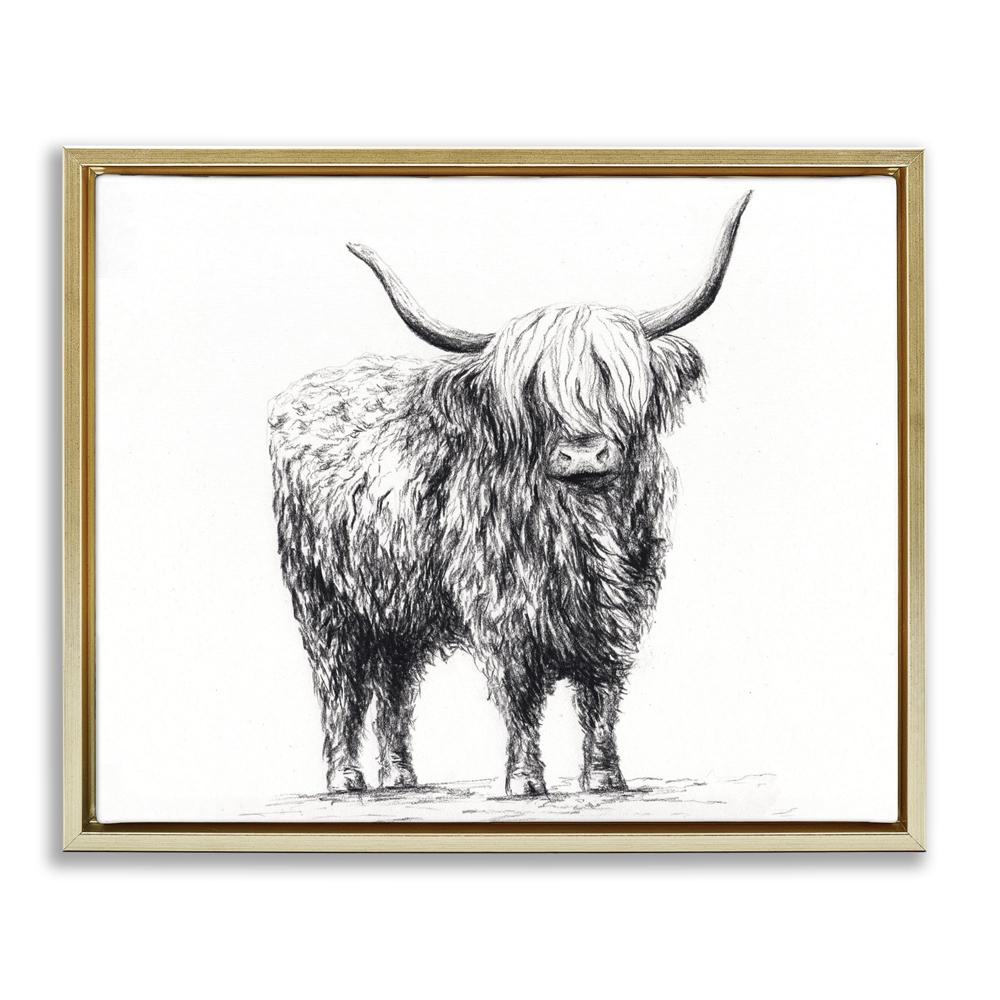 Stupell Industries 'Highland Cow in Charcoal', Floating Frame Canvas Art, Gold, 31 x 25 Inches, Easy to Hang and Sturdy, Made in USA, by Leah Noel Art