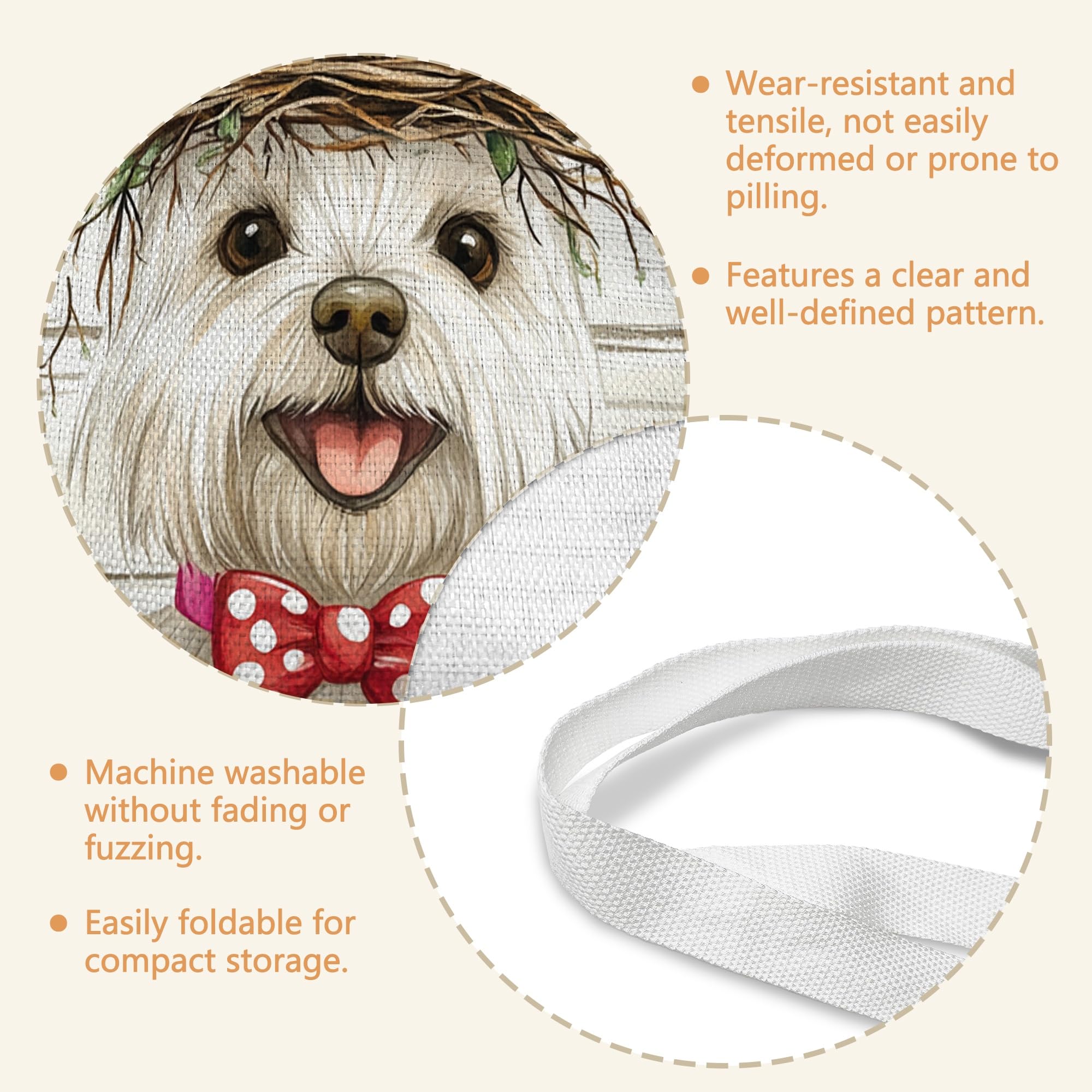 View 6