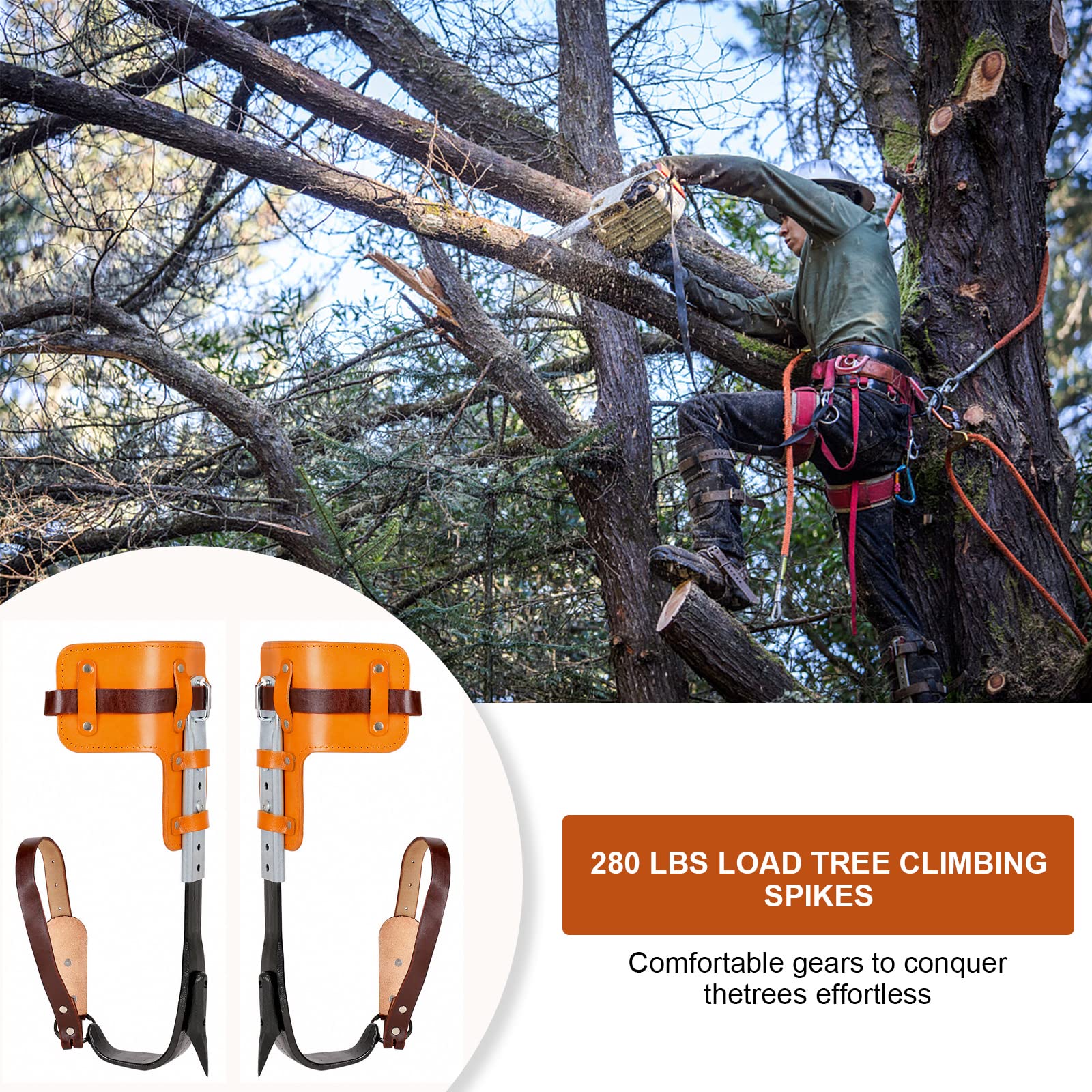 Crampones de escalada de árboles, crampones de artefacto de árboles, juego de crampones para árboles para practicar escalada de árboles, supervivencia en la selva, recolección de frutas, etc