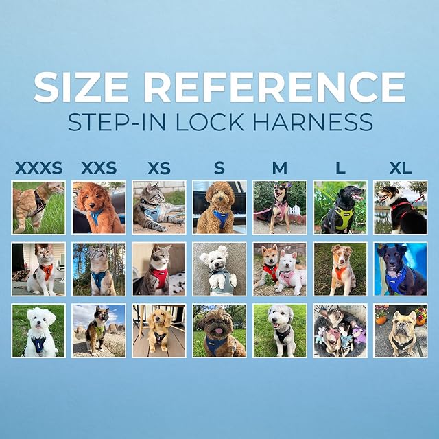 Foto 8 de 8 de Best Pet Supplies Voyager Step-in Lock