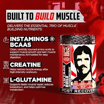 Old School Labs Vintage Build Post-Workout Recovery Powder Drink with BCAAs, Creatine & L-Glutamine to Support Muscle Recovery & Strength for Men & Women Fresh Berries, 30 Servings