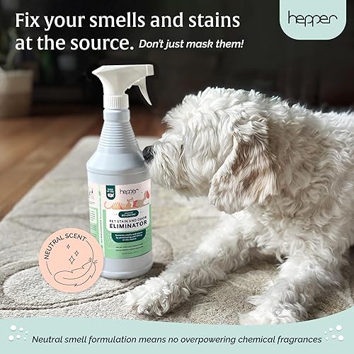 Miniatura 21 de Hepper Advanced Bio-Enzyme - Spray eliminador de manchas y olores para mascotas, eliminador de olores, manchas y orina para gatos, perros y otros