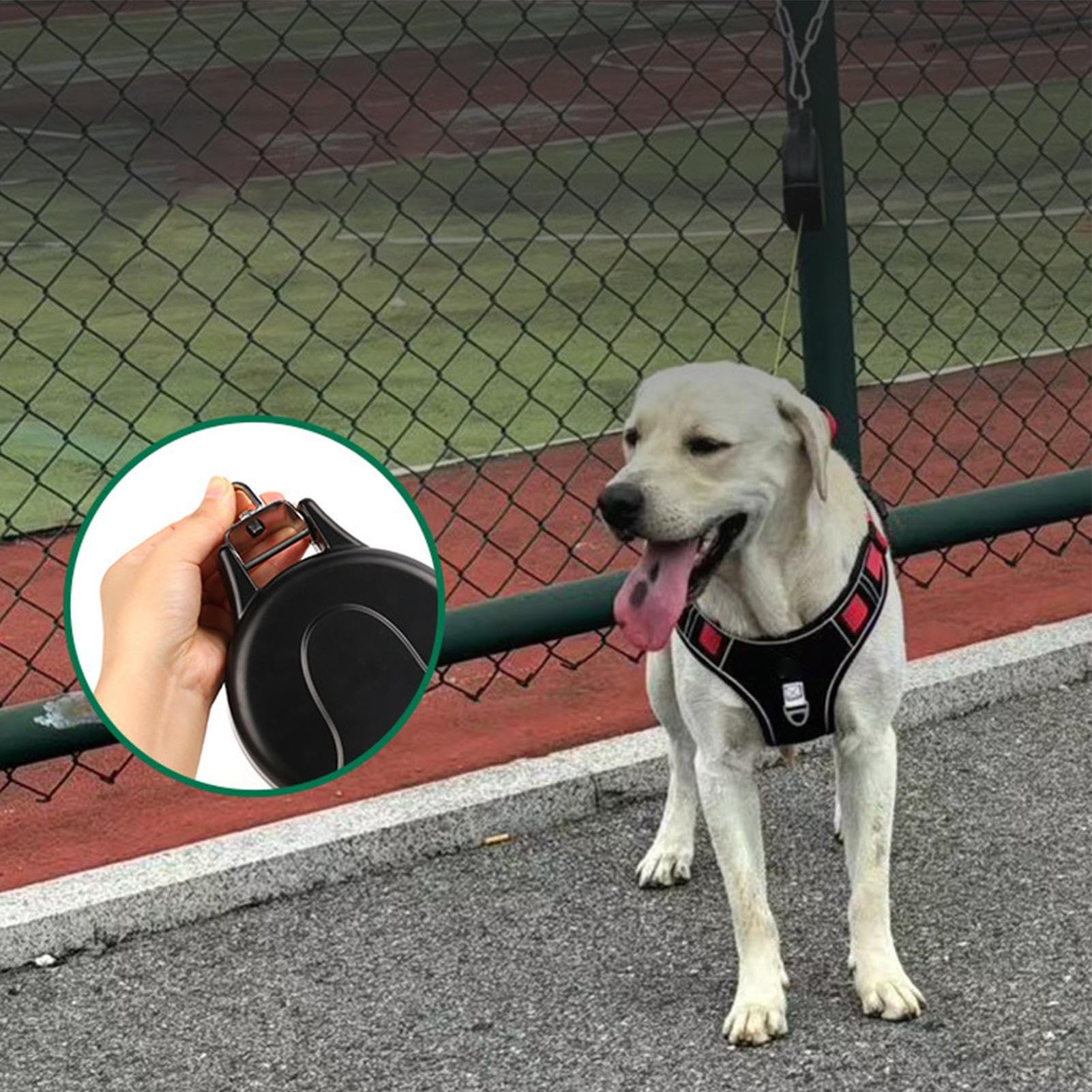 Correa Retráctil Para Mascotas Resistente Para Perros Y Animales | Correa Extensible Para Pared Y Exteriores para Animales Pequeños y Grandes en Carreras Senderismo Acampada Playa Patio y