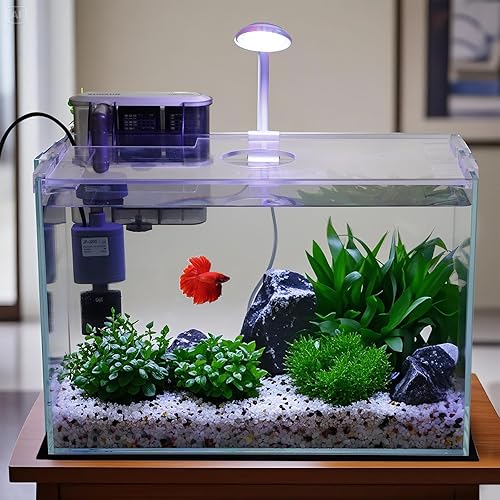 5 Gallon Glass Small Fish Tank with Filter Light and — lifestyle photo
