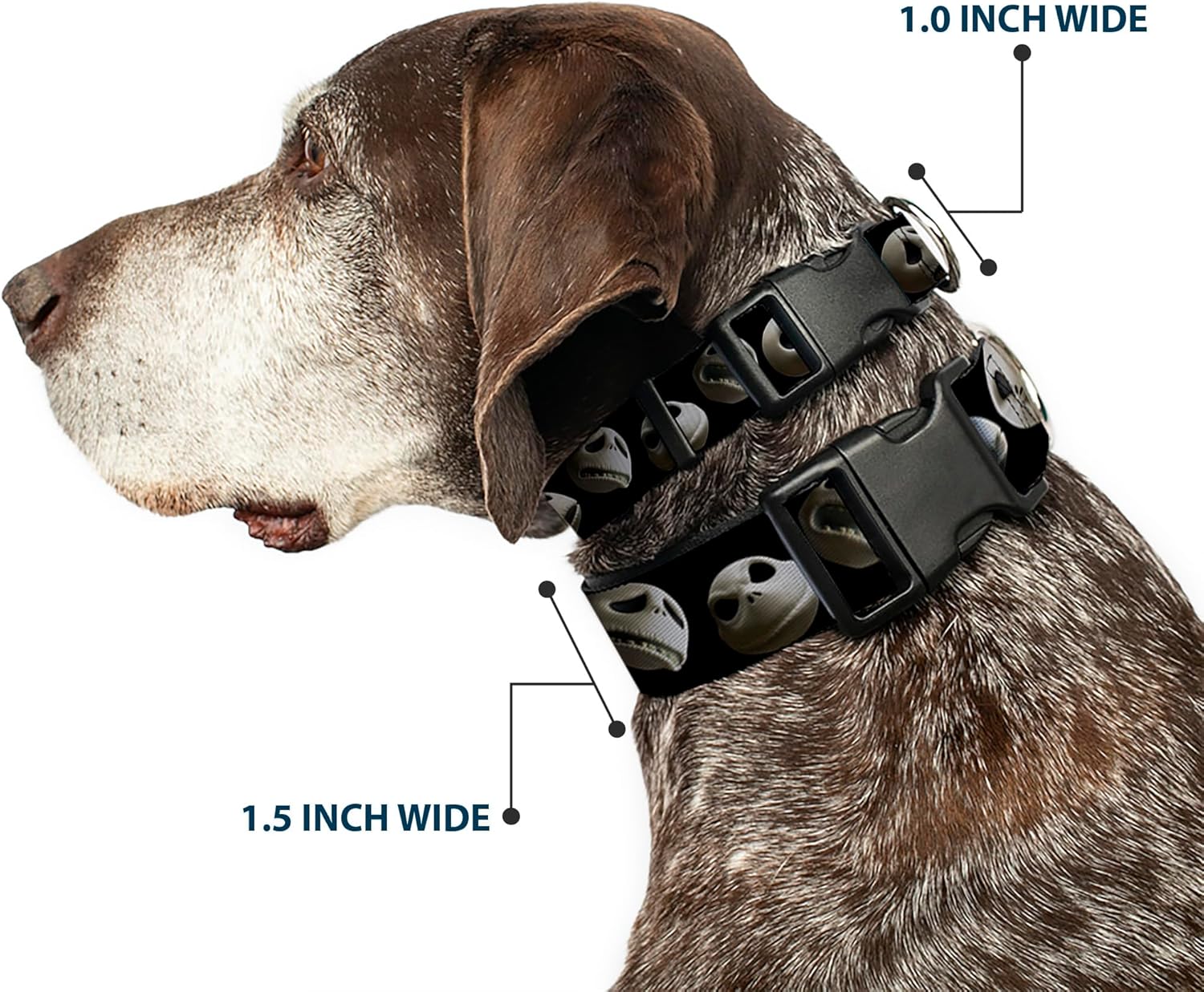 Buckle-Down Plastic Clip Collar - Jack 10-Expressions Staggered Black - 1.5" Wide - Fits 13-18" Neck - Small