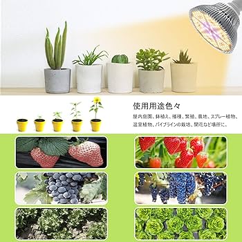 Amazon.co.jp: MORSEN LED植物育成ライト 80W相当 暖色 E26口金