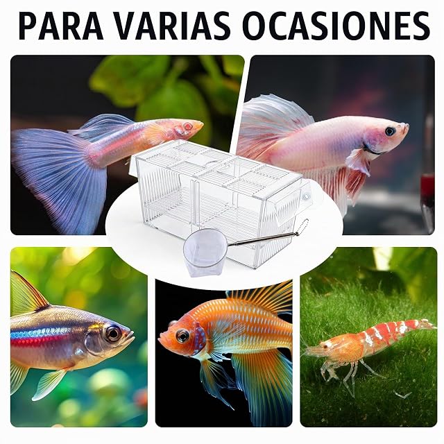 Foto 7 de 7 de WIYETY Caja de desove para acuario, grande, con red de sellado de peces