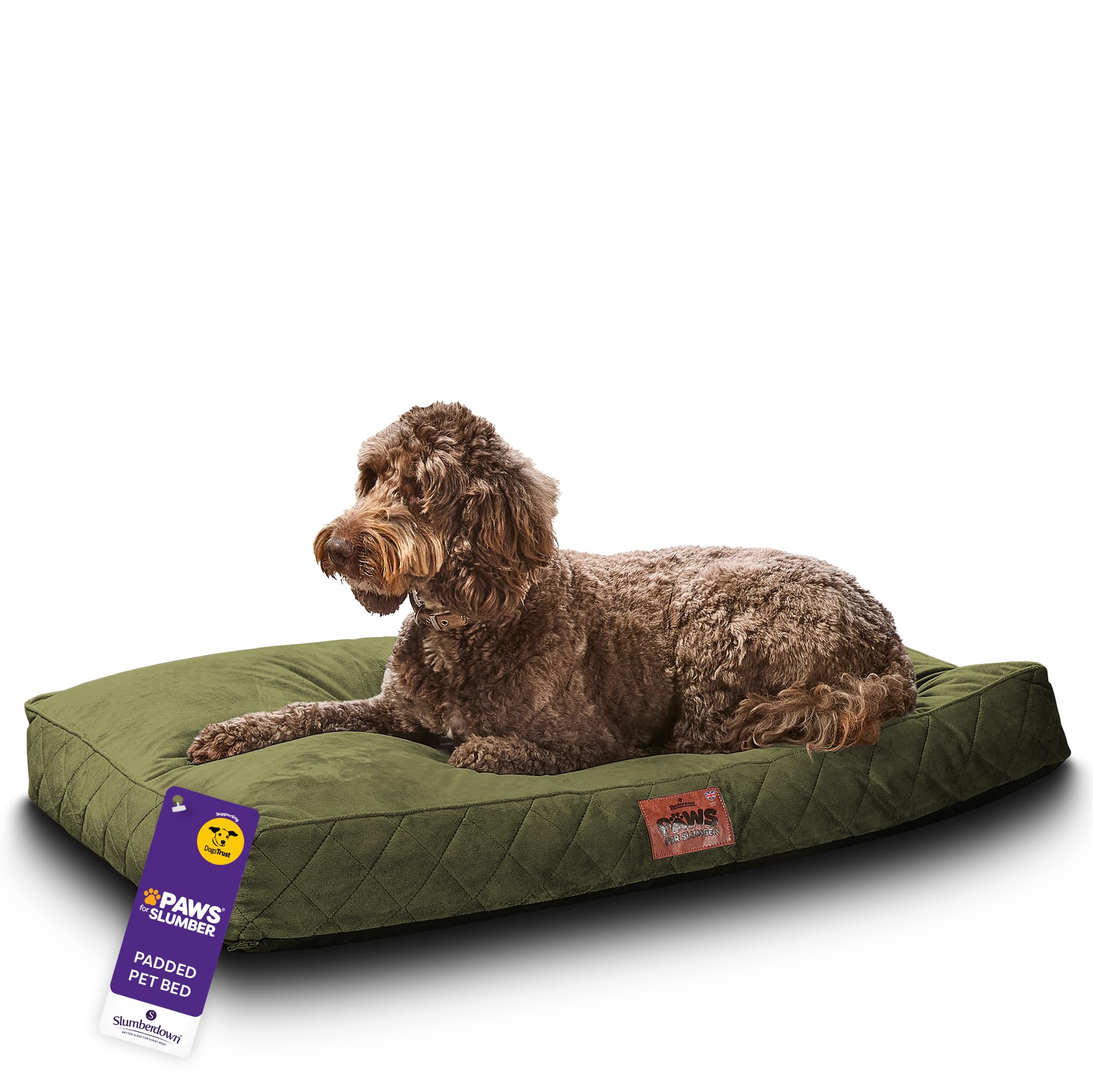 Slumberdown Luxury Padded Large Dog Bed (70 * 100 * 20cm) - Supportive, Cushioned & Washable Crate Mattress for Puppies, Dogs & Cats | Orthopedic, UK-Made, Non-Slip Base, Green