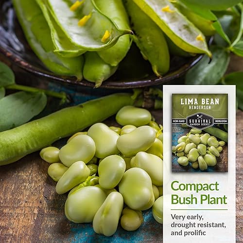 Miniatura 4 de Survival Garden Seeds - Semilla de frijol Henderson Lima para plantar - Paquete con instrucciones para plantar y cultivar frijoles blancos tiernos