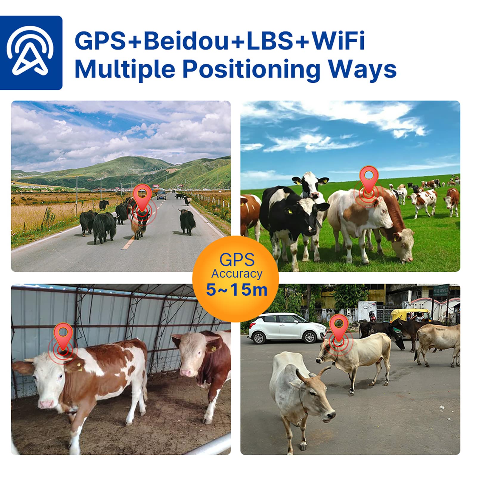 Rastreador De Animales, Rastreador GPS De Ganado, Caballos Y Camellos, Batería De Litio De 6000 MAh, Seguimiento Histórico, Posicionamiento En Tiempo Real, Configuración De Rango