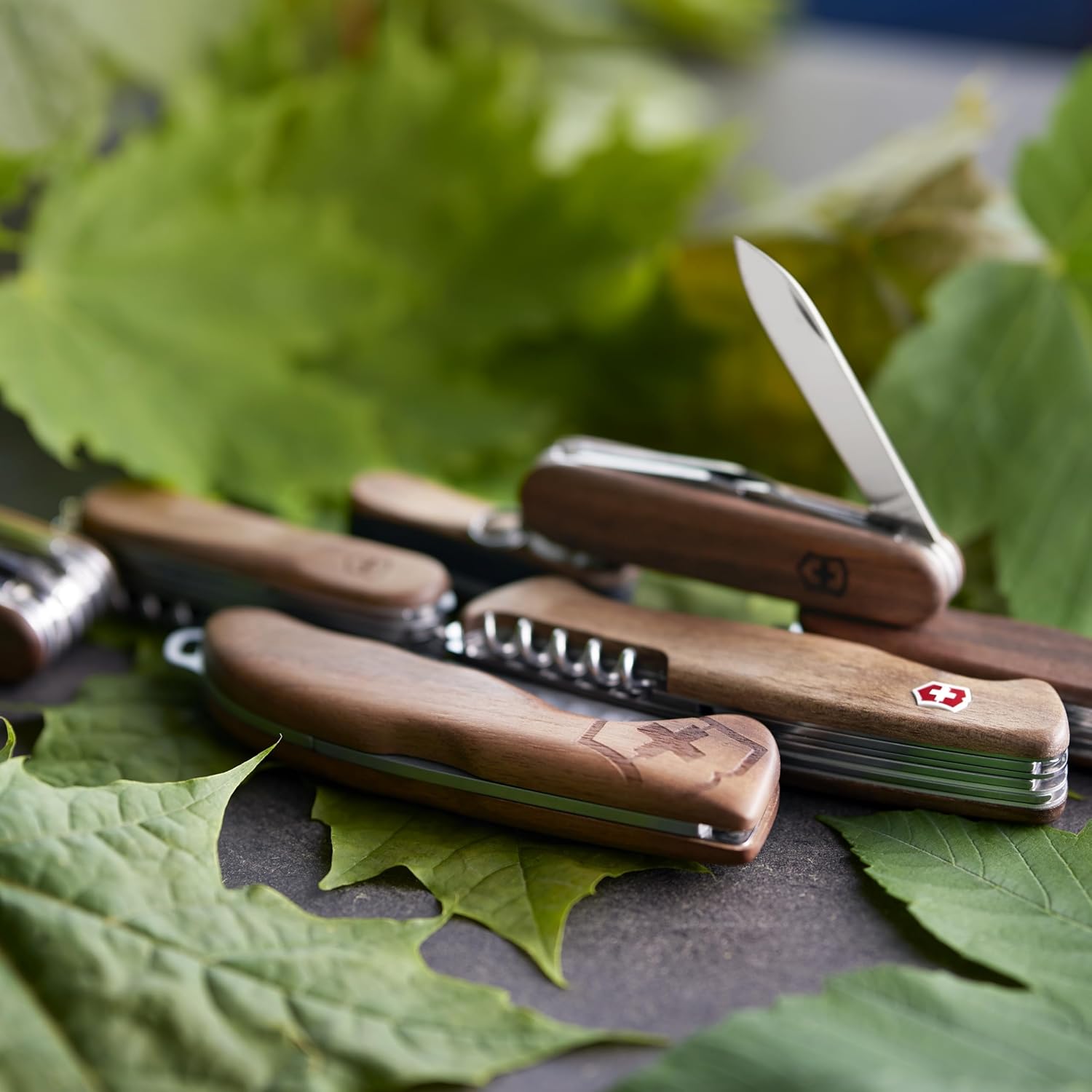 Victorinox Nail Clip 580 Wood Swiss Army Small Pocket Knife with Nail Clipper