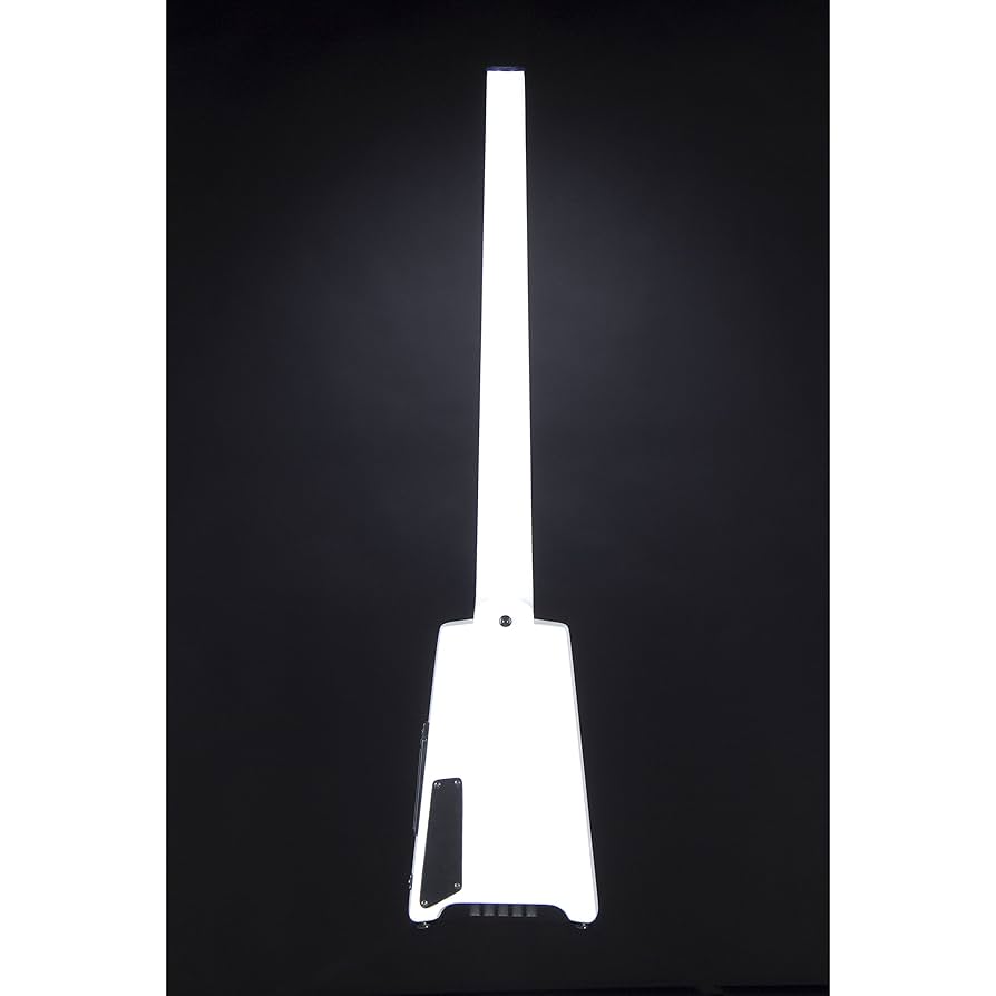 Amazon.com: Steinberger Spirit XT-25 5-String Standard Bass