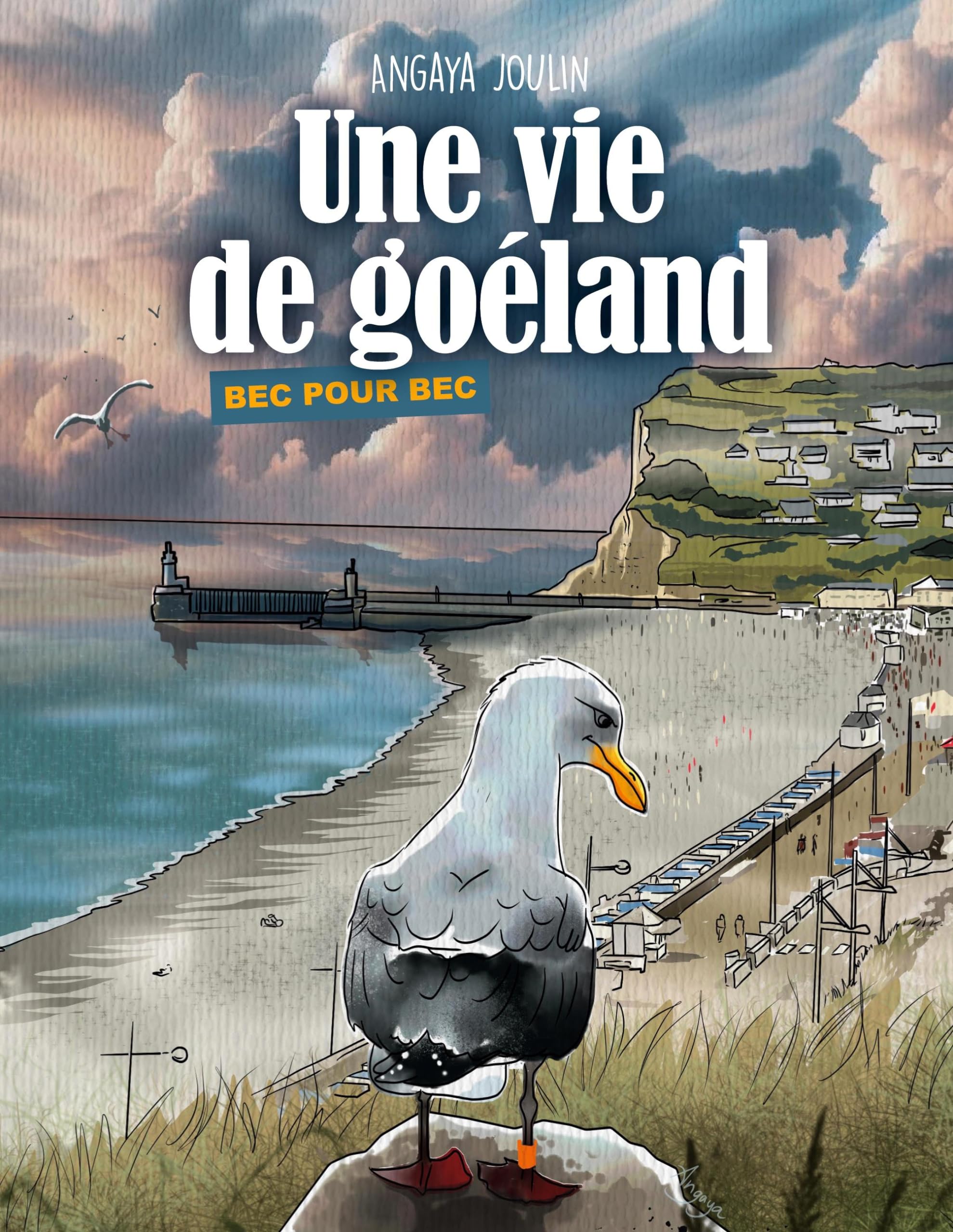 Une vie de goéland: Bec pour bec