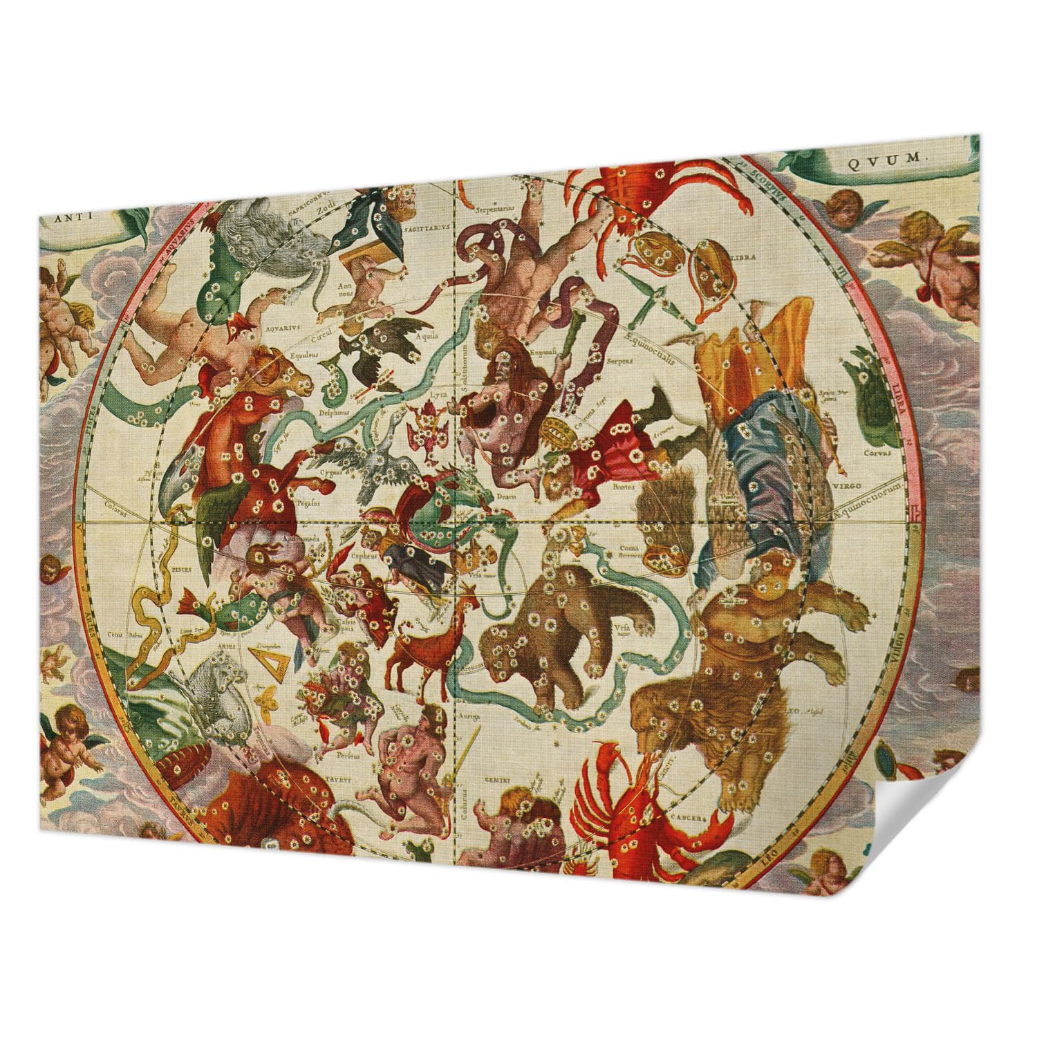 Papier peint autocollant sans colle mural panoramique anti-tache Tulup 208x146