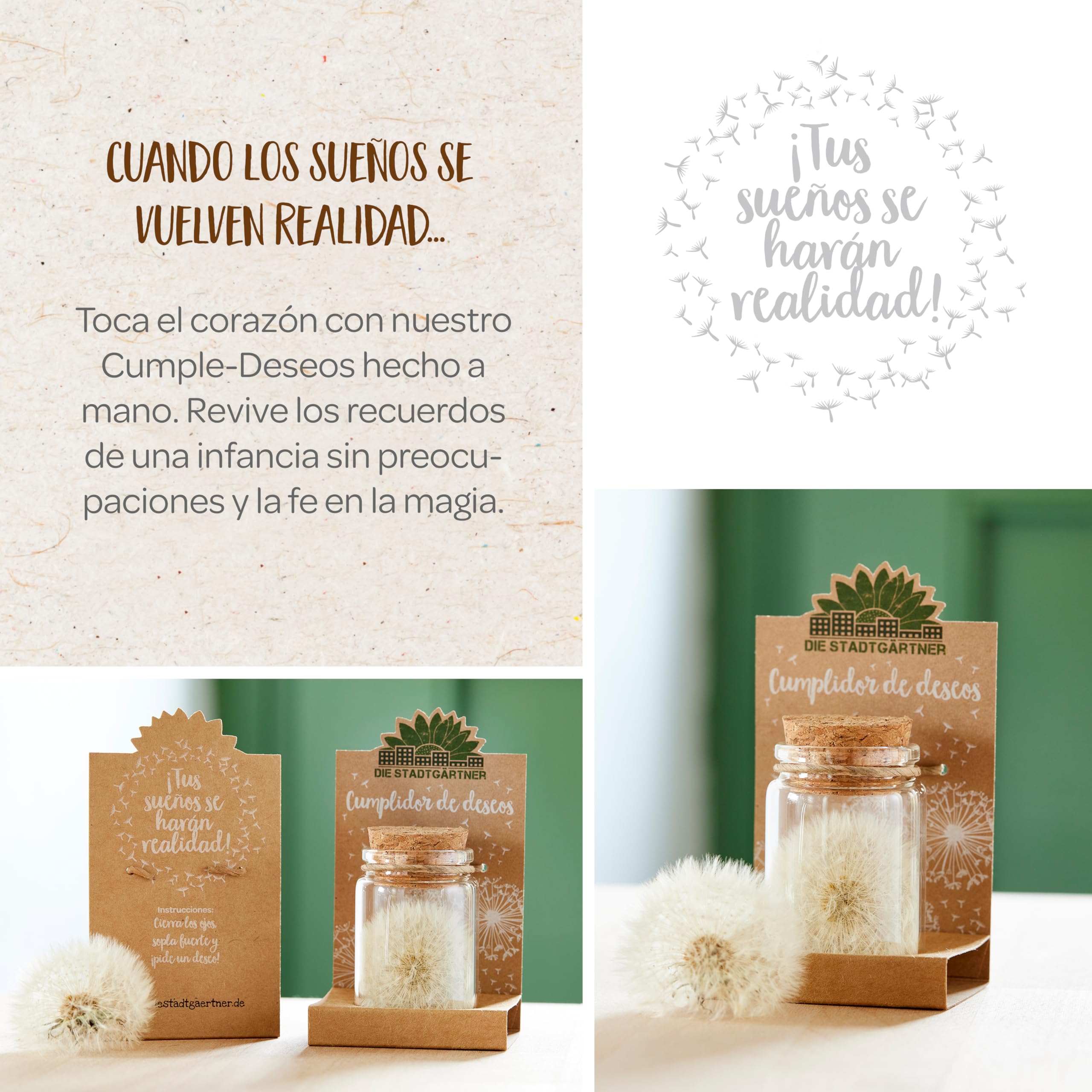 Cumple-Deseos I Verdadero Diente de León en un Frasco I Preservado de Forma Permanente I Regalo Creativo para Cualquier Ocasión I Regalo para Cumpleaños, Boda, Día de la Madre, Pascua, etc. …