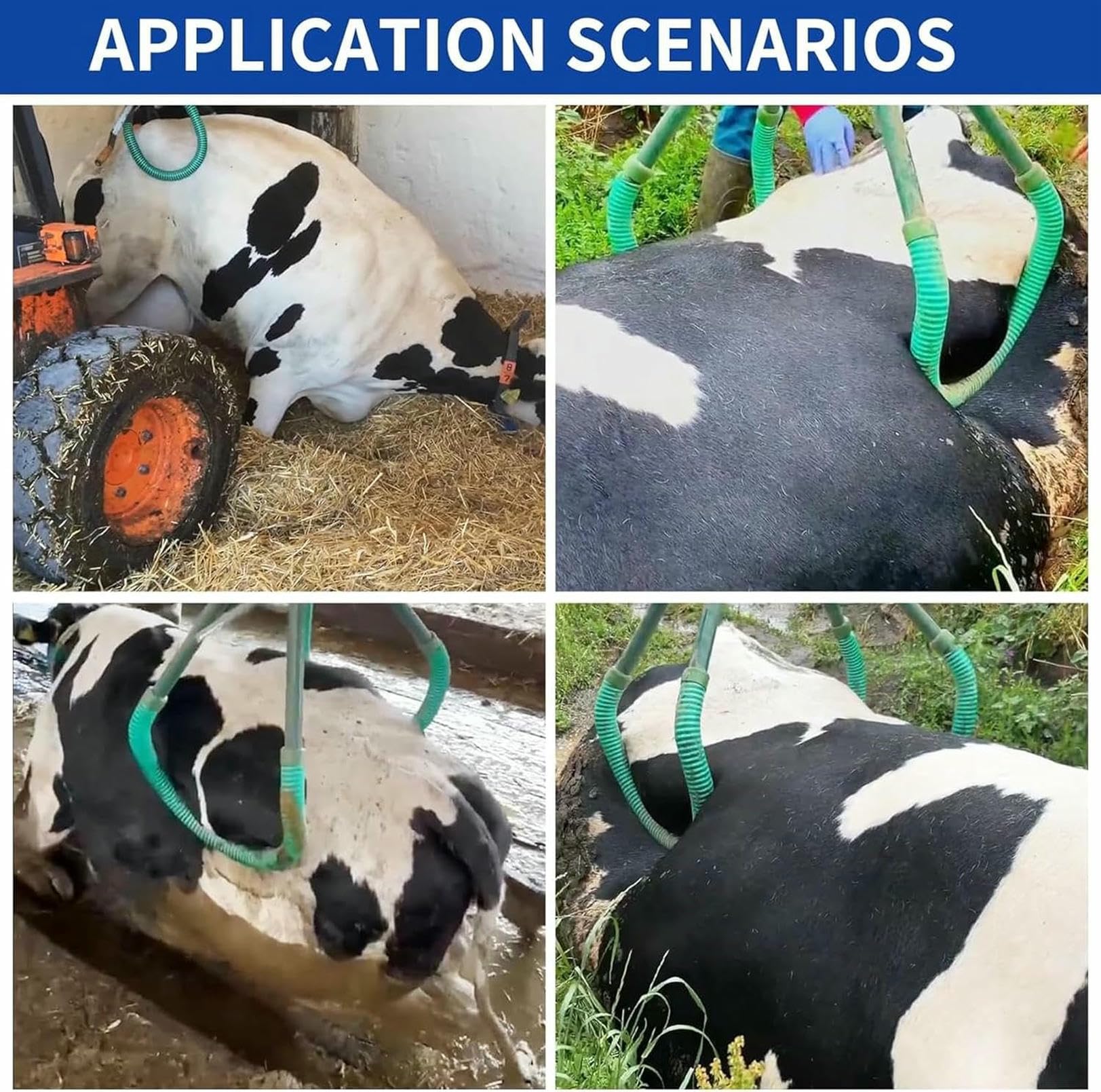 Morsetto regolabile in acciaio inox per sollevamento dell'anca della mucca, dispositivo di assistenza per distocia, supporto per prodotti lattiero-caseari, supporta fino a 999,7 kg
