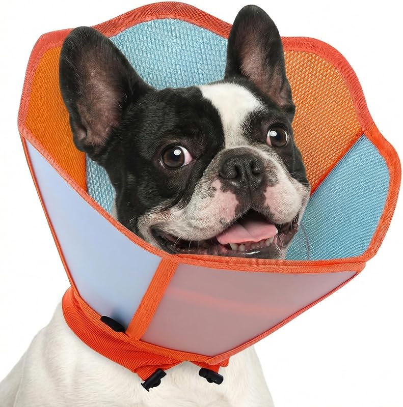 Colar Elizabetano para Cães AOFITEE com Revestimento Impermeável e Ajustável (Tamanho M)