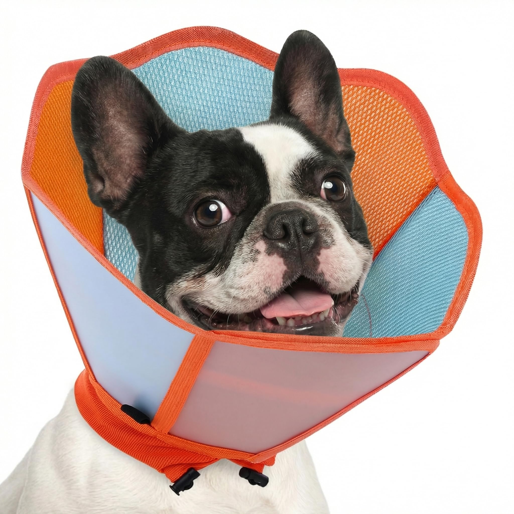 Collier réglable pour chiens élizabéthains pour le repos à la maison après opération