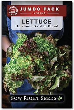 Sow Right Seeds - Bulk Mixed Heirloom Lettuce Seeds for Planting - 3 Grams, 2500 Seeds - Non-GMO Heirloom Jumbo Pack with Instructions to Plant & Grow a Home Vegetable Garden - A Bountiful Harvest