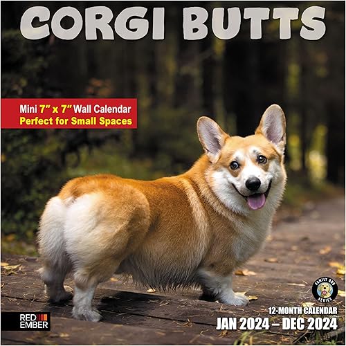 RED EMBER Corgi Butts - Calendario mensual de pared colgante 2024  12 x 24 pulgadas abierto  Papel grueso y resistente  Regalo  Broma divertida para