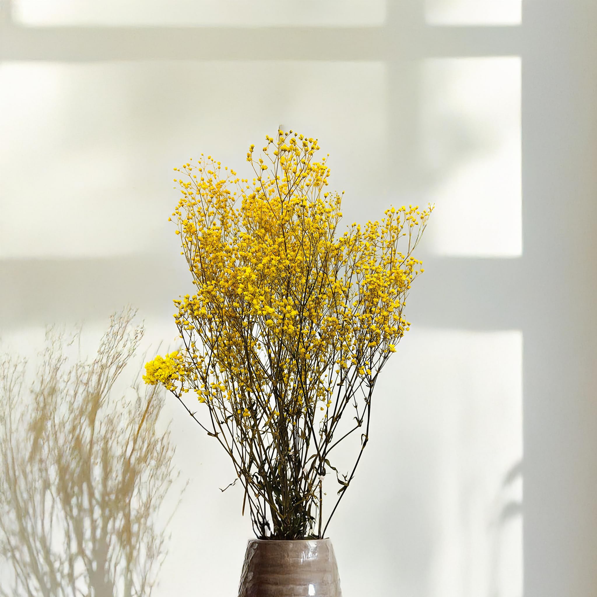 Enchanted Fleurs Séchées, Gypsophile Stabilisée, 120 g, Jaune Pastel