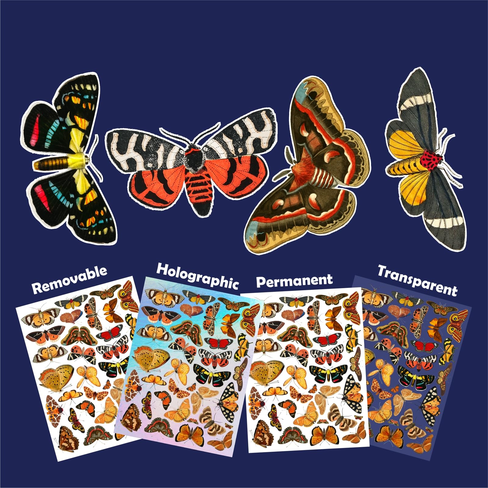 Small Insect Sticker Holographic Stickers Vintage Beetle Stickers Pack - 150+ Insect ...