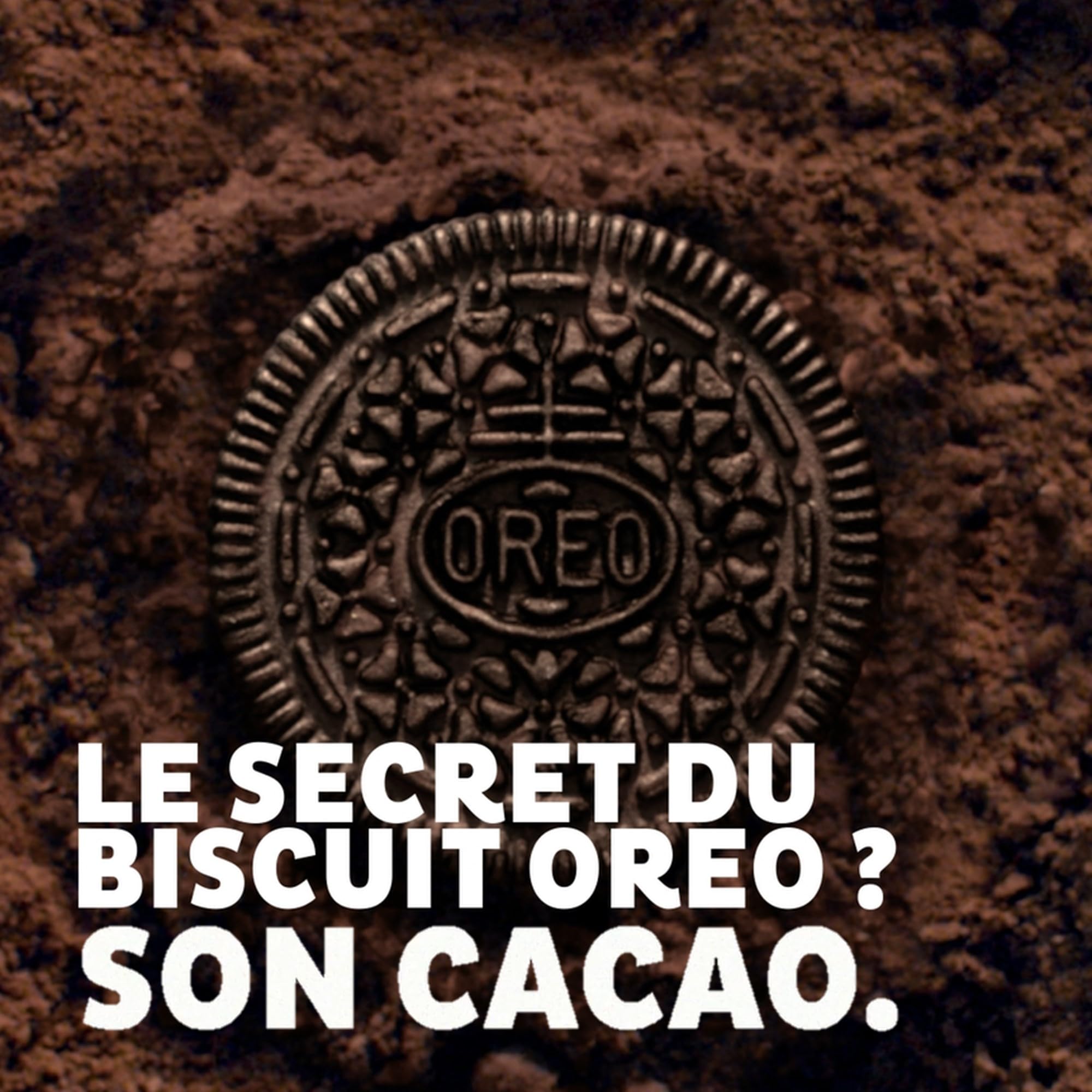 OREO - Oreo Original - 12 Boîtes de 5 Sachets de 4 Biscuits Oreo - Biscuit Cacaoté Fourré Goût Vanille - Lot de Biscuits en Sachets Individuels - Idéal à Emporter pour un Goûter Gourmand - Lot 12x220g