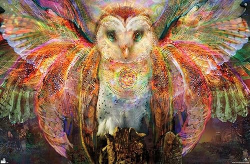 Miniatura 4 de Trends International Jumbie - Owl Wall Poster, 22.37" x 34.00", Premium Poster & Push Pin Bundle