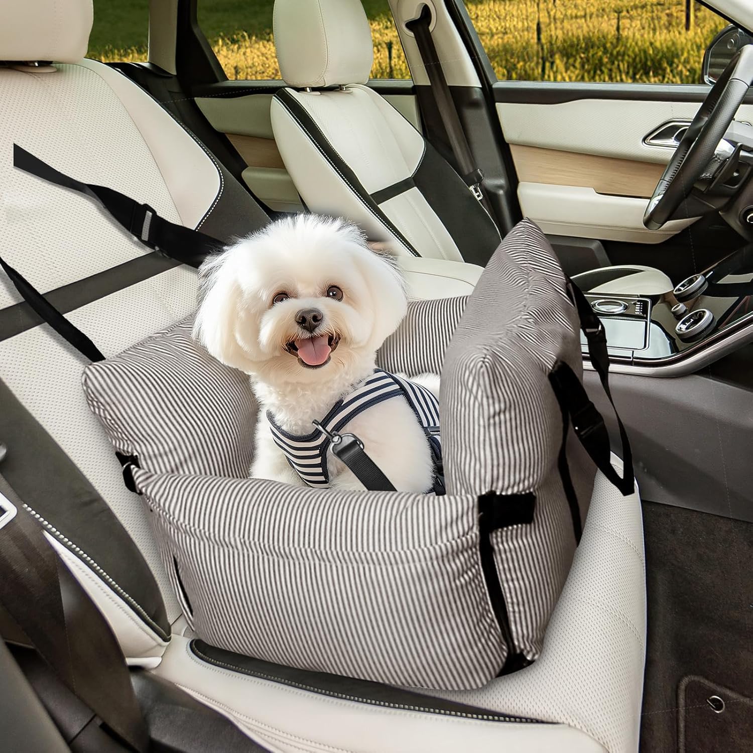 Asiento de coche para perros pequeños de menos de 6 kg, asiento elevador desmontable y lavable para mascotas con base antideslizante y cinturón de seguridad, cama de viaje portátil para