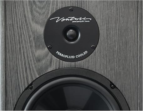 BIC America DV62SIB 175-Watt 2-Way 6.5-Inch Bookshelf and Surround Speakers (DV-62SIB)
