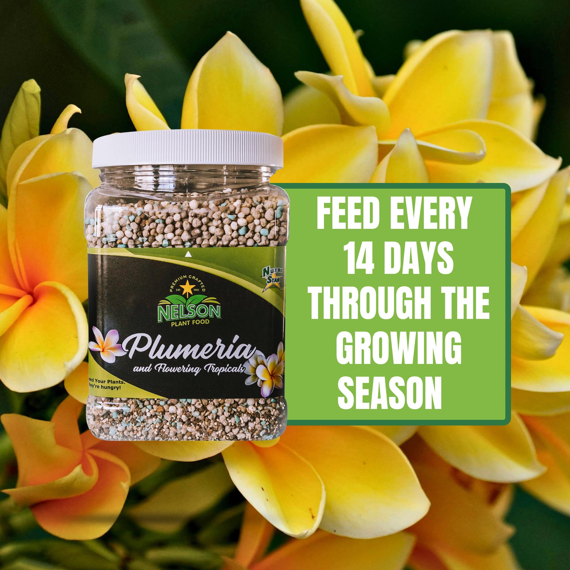 Nelson Plumeria Pflanze und alle blühenden Tropicals Futterfarne, Orchideen, Lilien im Bodenbehälter, Terrassen angebaut, Granulat-Dünger, NutriStar 5-30-5 (0,9 kg)