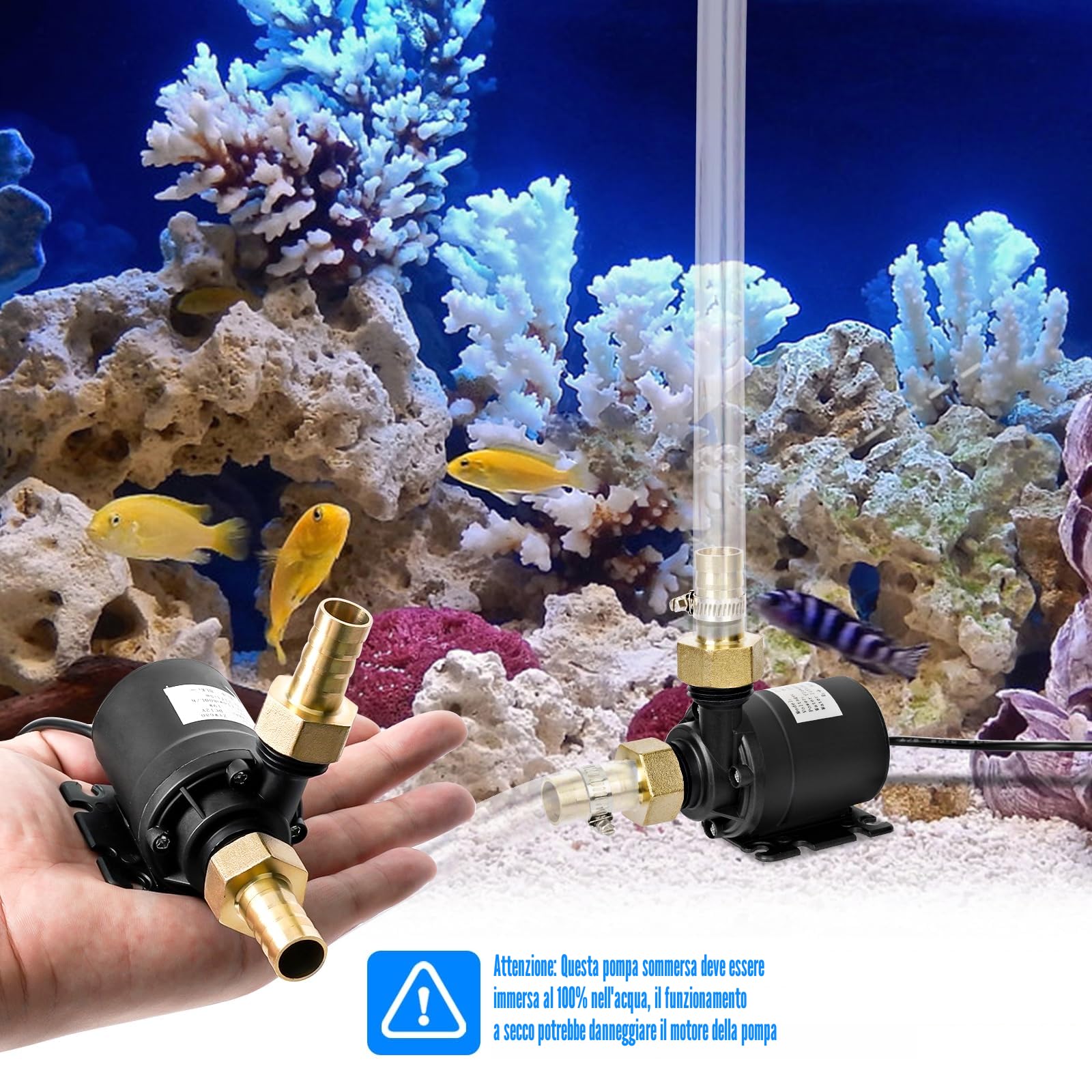 Portatile Mini Pompa Acqua, Pompa Acqua DC 12V 800L/H 5M Pompa Sommersa, Ultra-Quiet Pompa Immersione per Acquario Fontana Laghetto Irrigazione Giardino Piscina