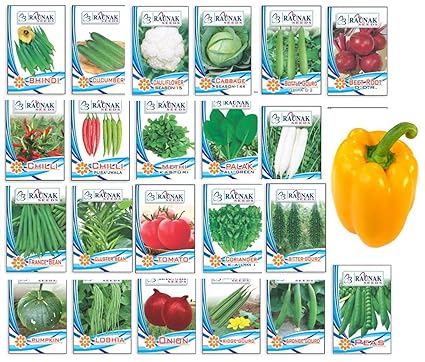 Indica Super Agri Green Combo of 22 All Season Kitchen Garden Quality Seeds ! Launch Offer : Get 30 Yellow Capsicum Seeds Free!