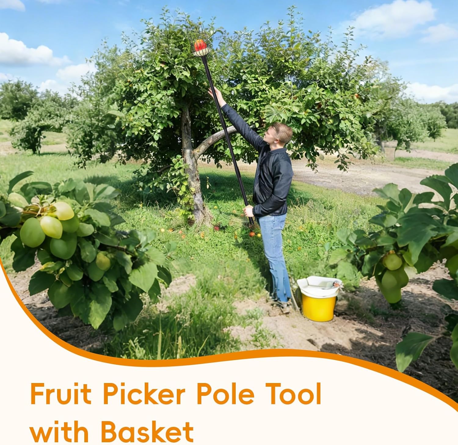 Pragmatist Fruit Picker Pole Tool with Basket, 9.6 FT (116 Inch) Adjustable Fruit Grabber Reacher Tool Long Handle Fruit Catcher for Apple Lemon Pear Citrus Mango Tree Gardening Supplies, Black