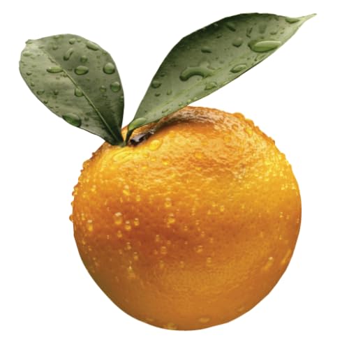 CYC Mobile - //medicalbooks.filipinodoctors.org