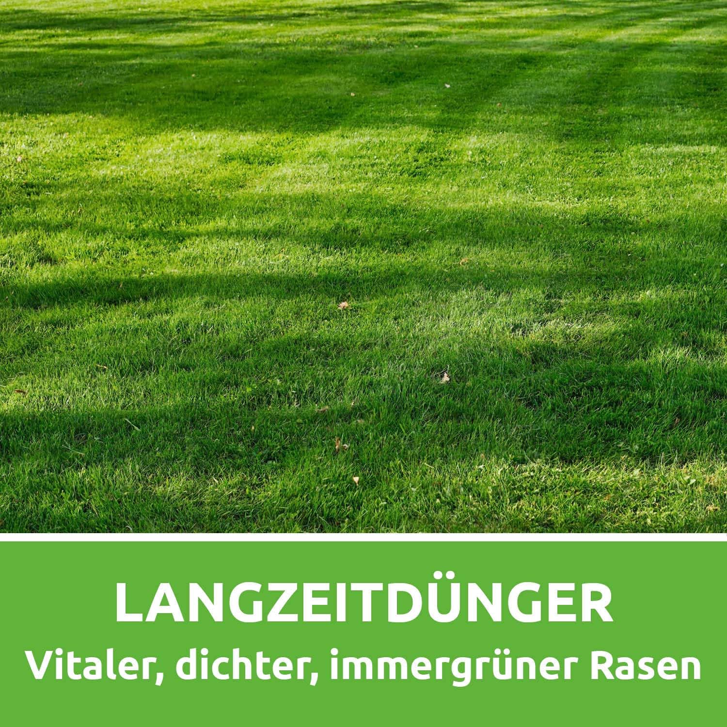 EM-Chiemgau® Rasen-Rainer – Organischer Bio Rasendünger mit Mykorrhiza & Pflanzenkohle – Langzeitdünger für dichten, grünen Rasen – Bodenaktivator mit Effektiven Mikroorganismen – 7 kg