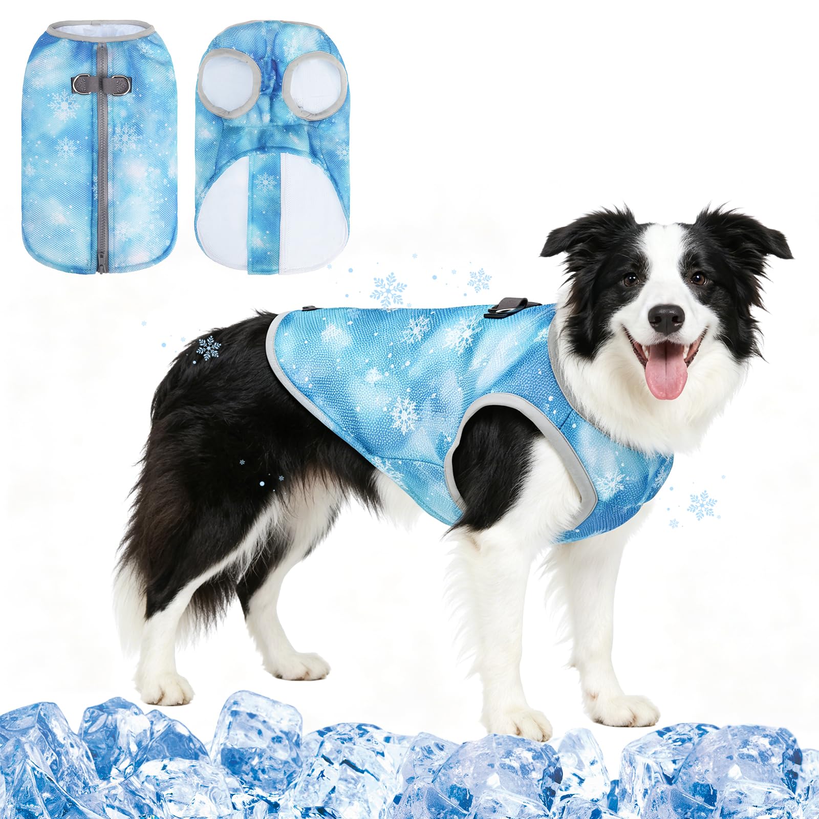 Gilet rafraîchissant pour chien idéal pour les balades d'été