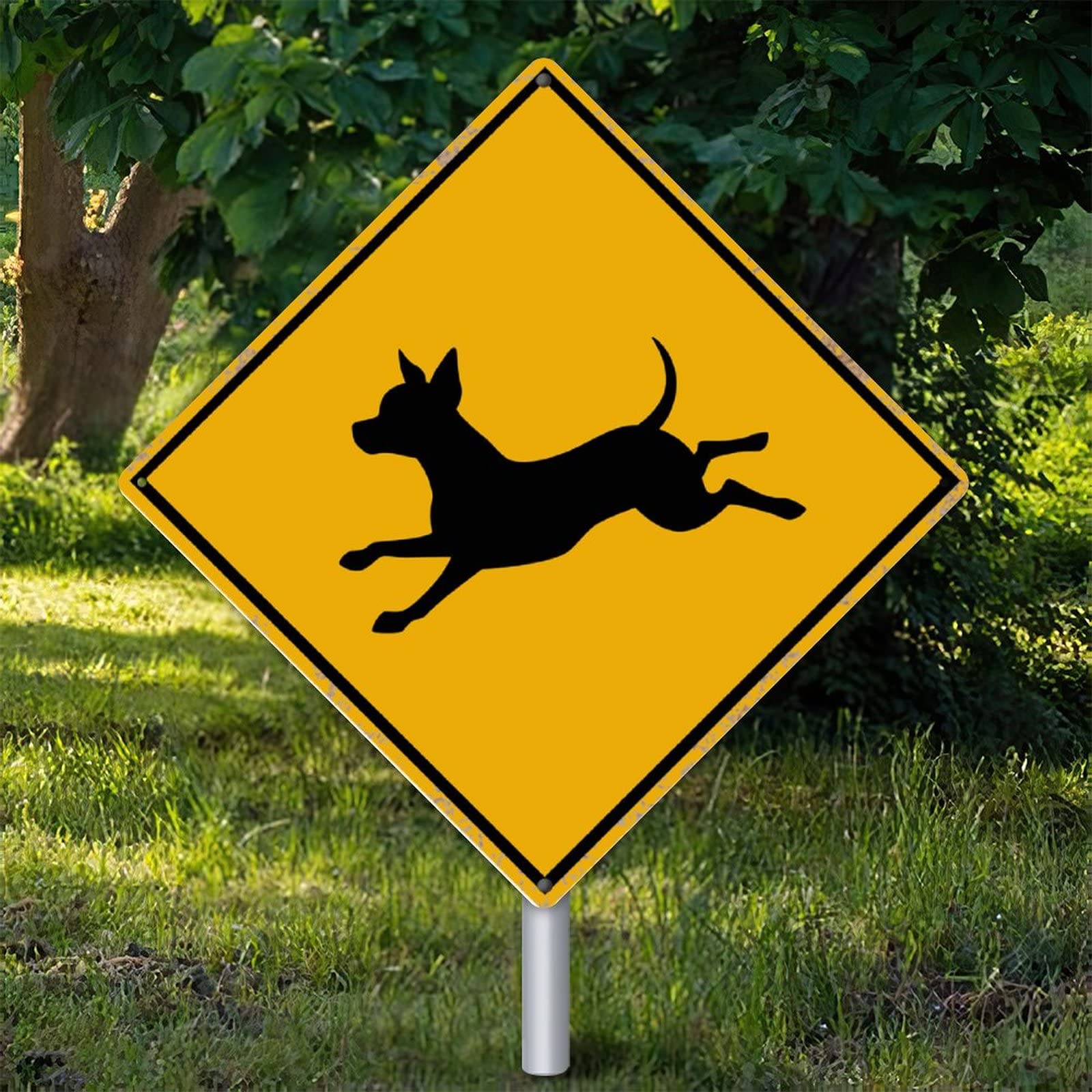 Panneau attention au Chihuahua plaque métallique antirouille pour portail