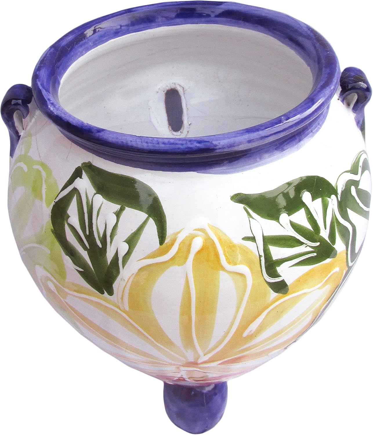 Cactus Canyon Ceramics Spanish Hand-Painted Orza Wall Flower Planter, Flor