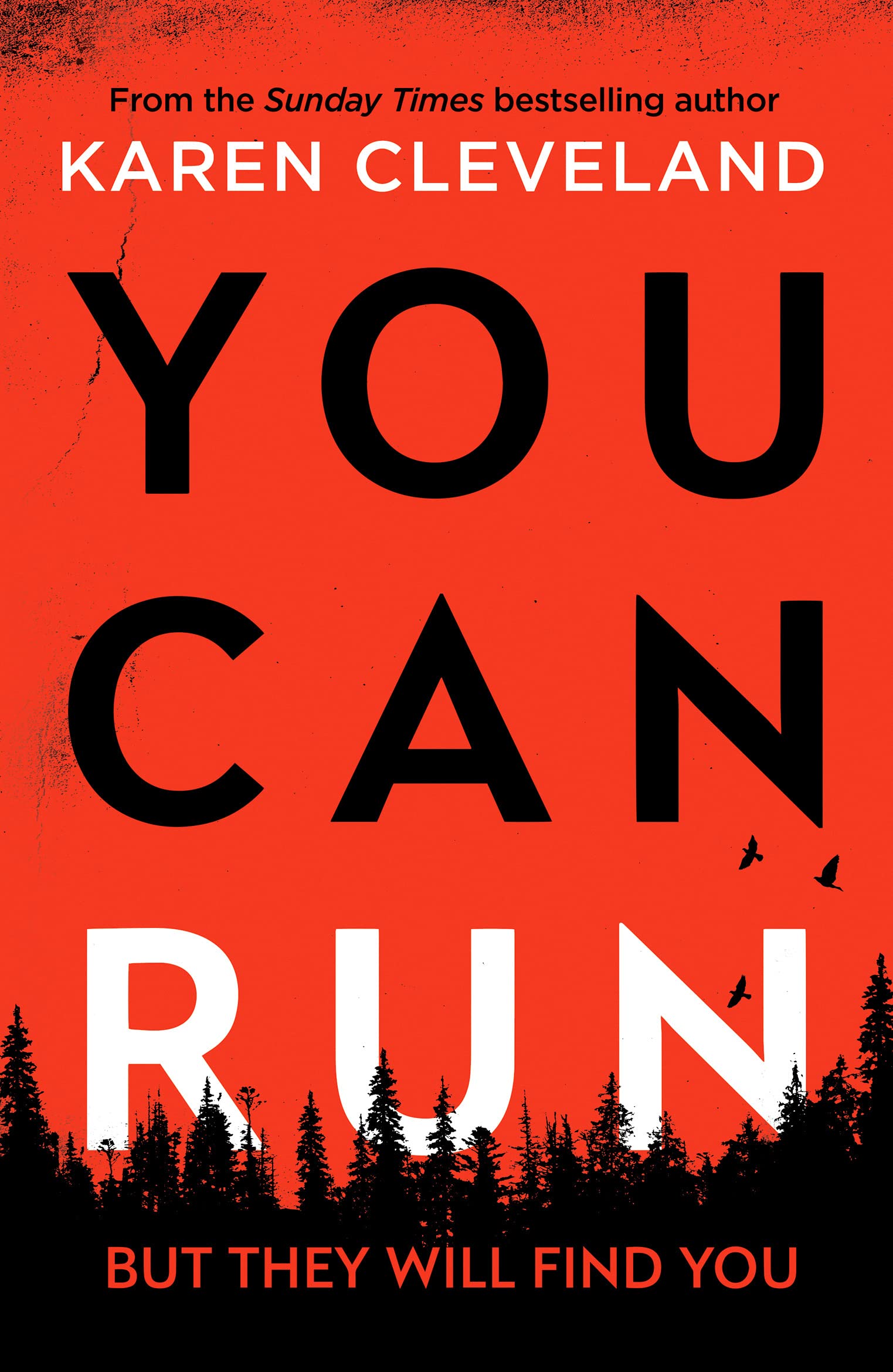 You Can Run: An unputdownable thriller by Karen Cleveland PAPERBACK