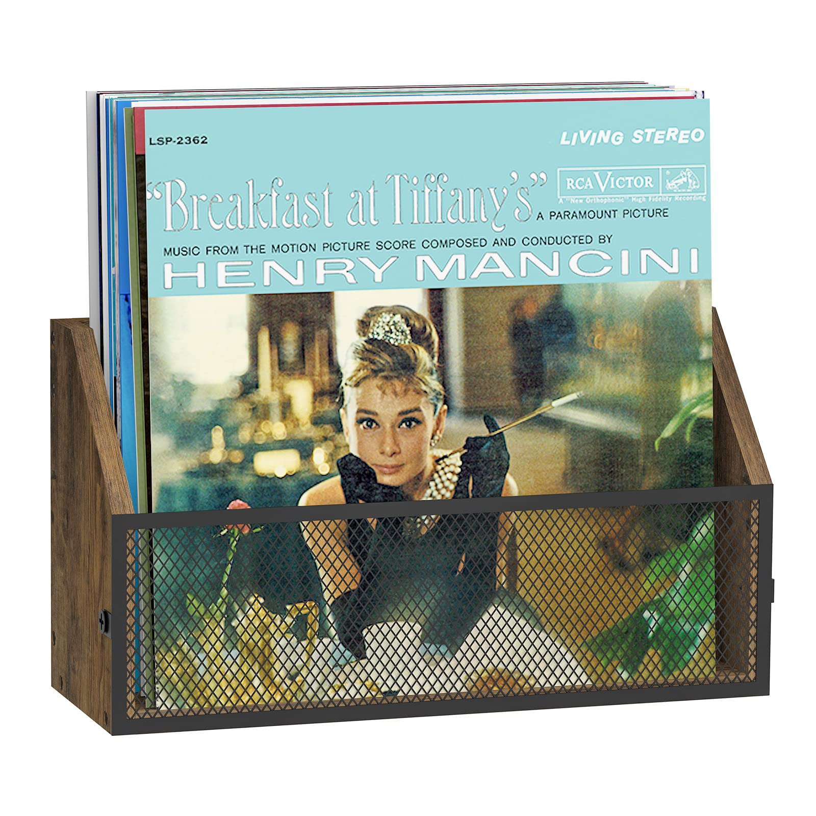 Echo Audio Tabletop Vinyl Record Storage - Wood and Metal Display Stand, Wall Mounted or Table Top Album Organizer, Holds 30 Records - for Living Room, Bedroom, Study