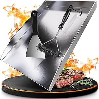 Plancha de acero inoxidable grueso (30 x 20 cm, apto para barbacoa de gas y barbacoa de carbón, más: cepillo y espátula
