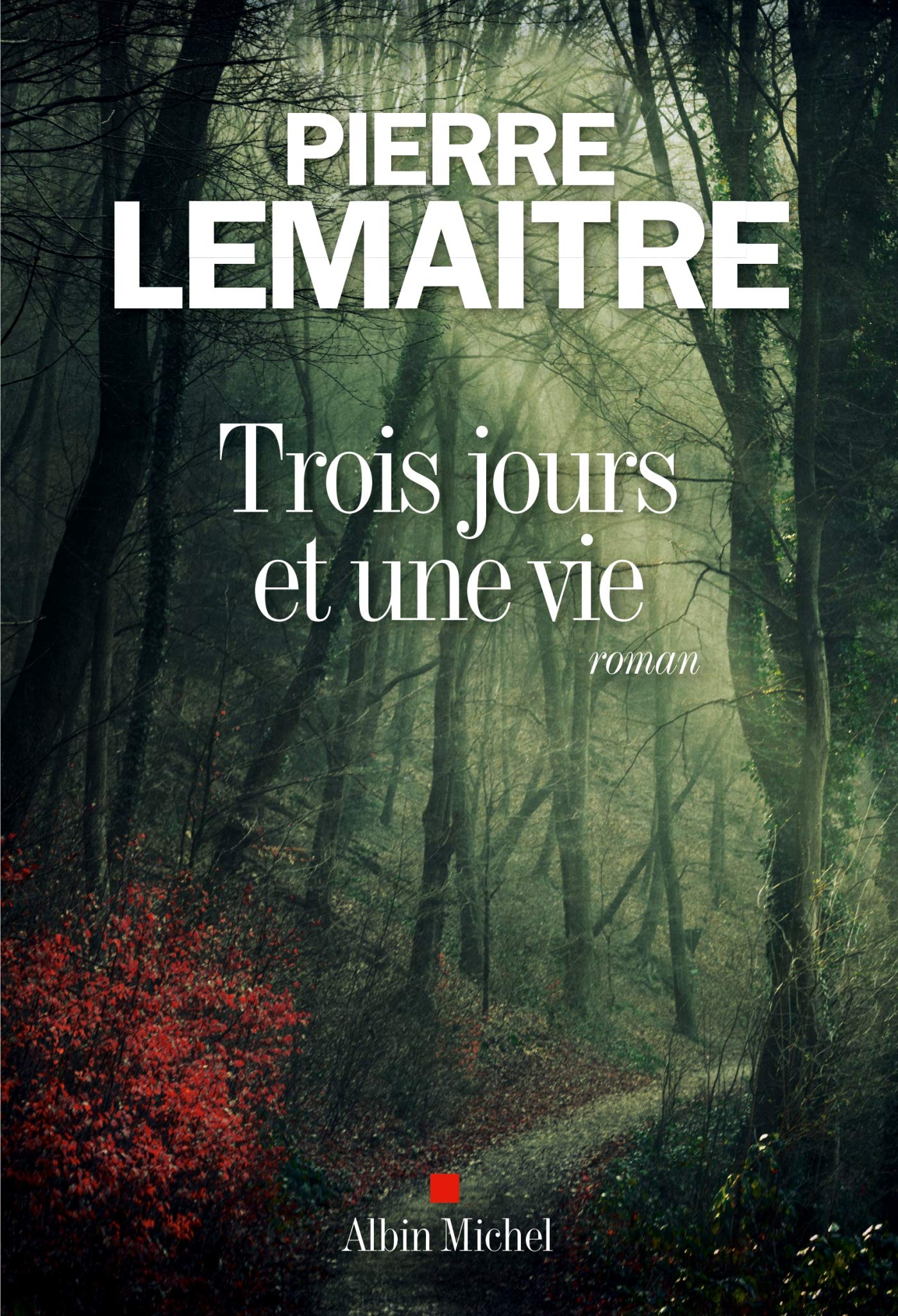 Trois jours et une vie: roman