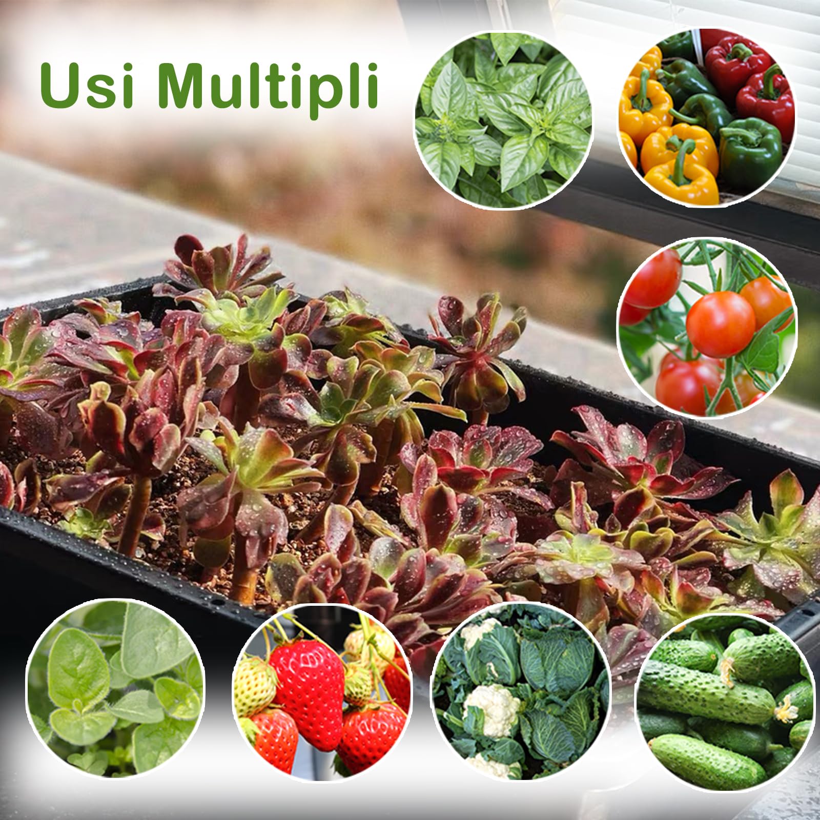 BeGrit 5 Pezzi Vassoi Semina Plastica 44 x 30 x 4,5 cm Germinazione Semina Vaschette Grande Semenzaio vassoio per microgreens rettangolari semi in plastica per Serra Idroponica Giardino Verdura Frutta
