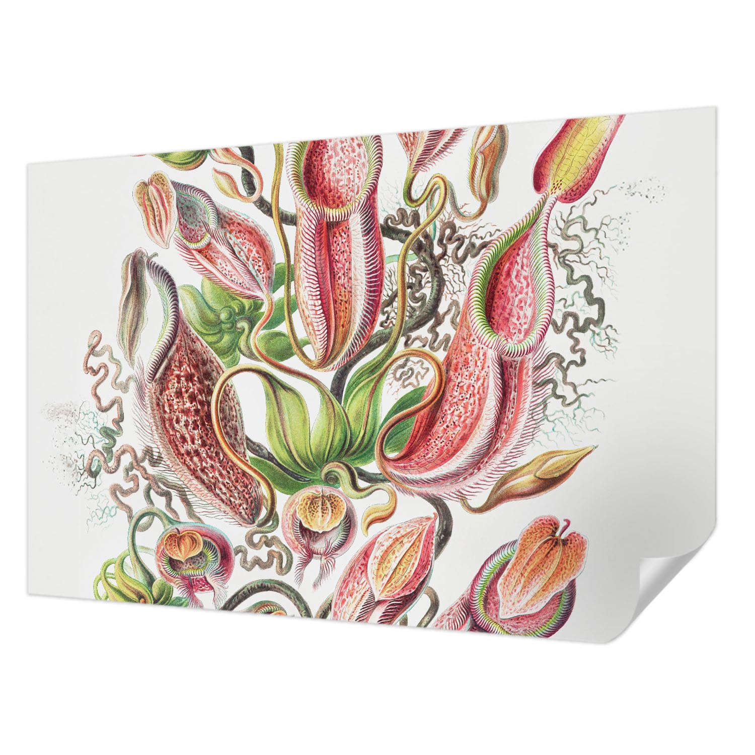 Murs ternes ? Ce revêtement mural autocollant Tulup 104x70 cm moderne rénove sans colle