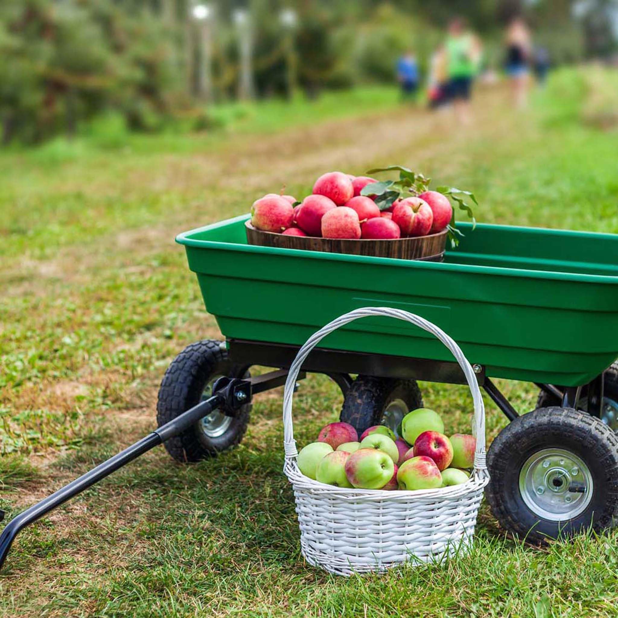 Wiltec Chariot de Jardin à Main – 1050 x 450 x 485 mm – Volume 50 L – Capacité de Charge 200 kg – avec Benne basculante et 4 Roues – Remorque Brouette jardinerie