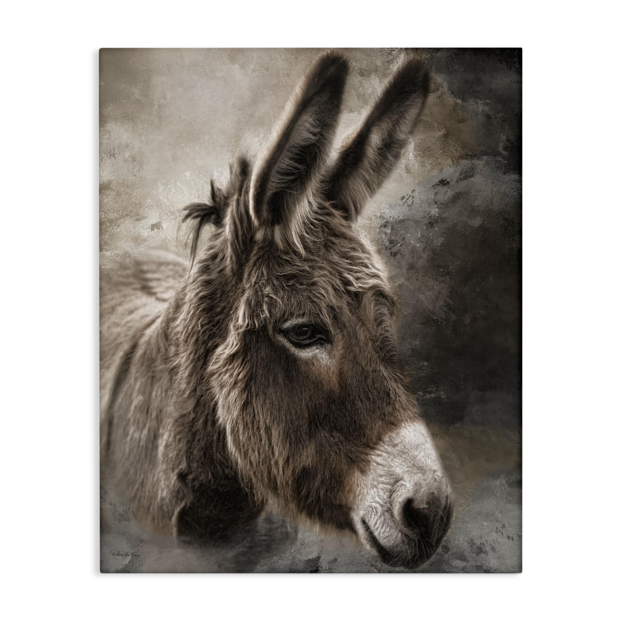 Stupell Industries All Ears Donkey Canvas Wall Art, design by Robin-Lee Viera, 20 x 16