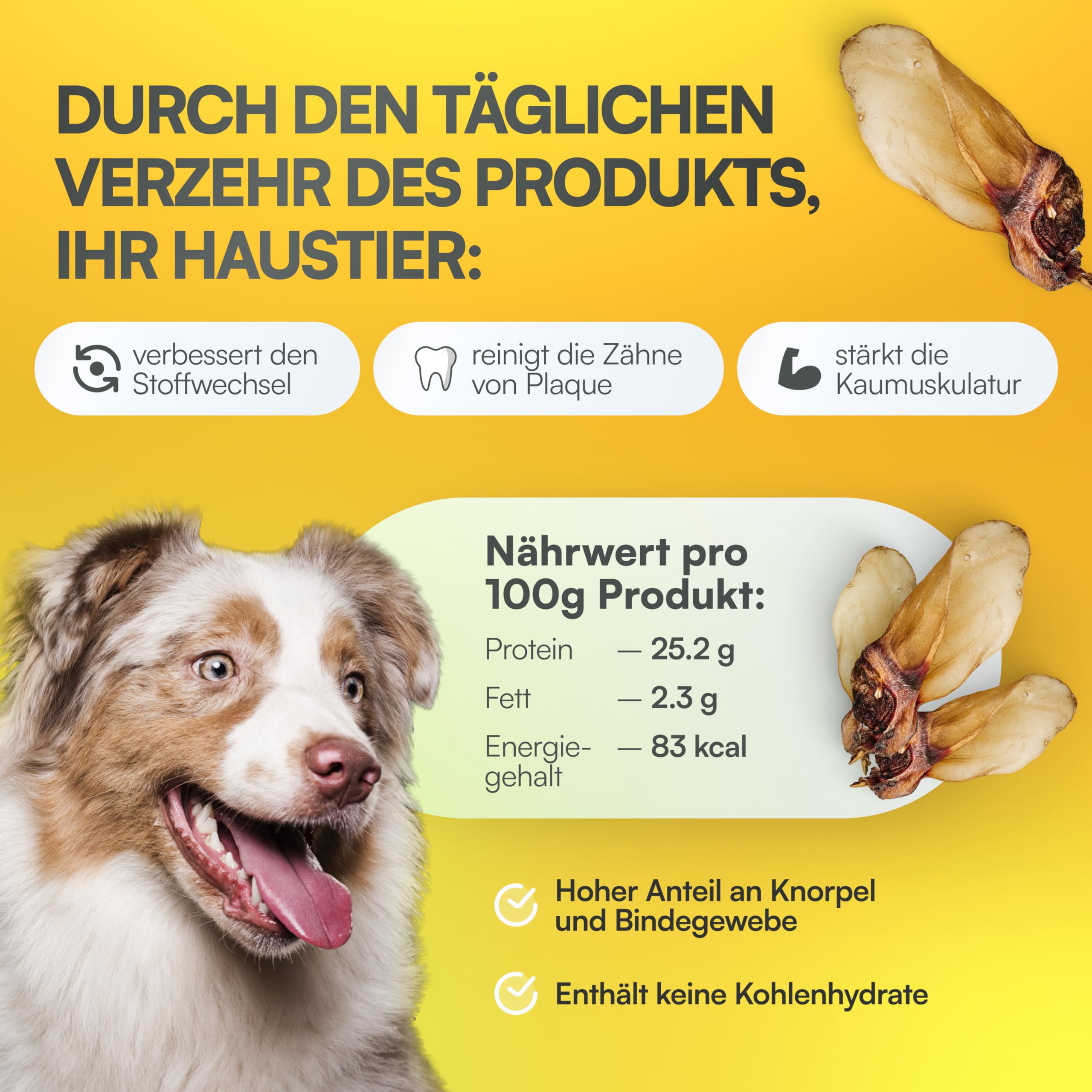 Snacks Naturales & premios para Mascotas – Oreja de Vaca XXL sin aditivos, Alto en proteína, 500 g