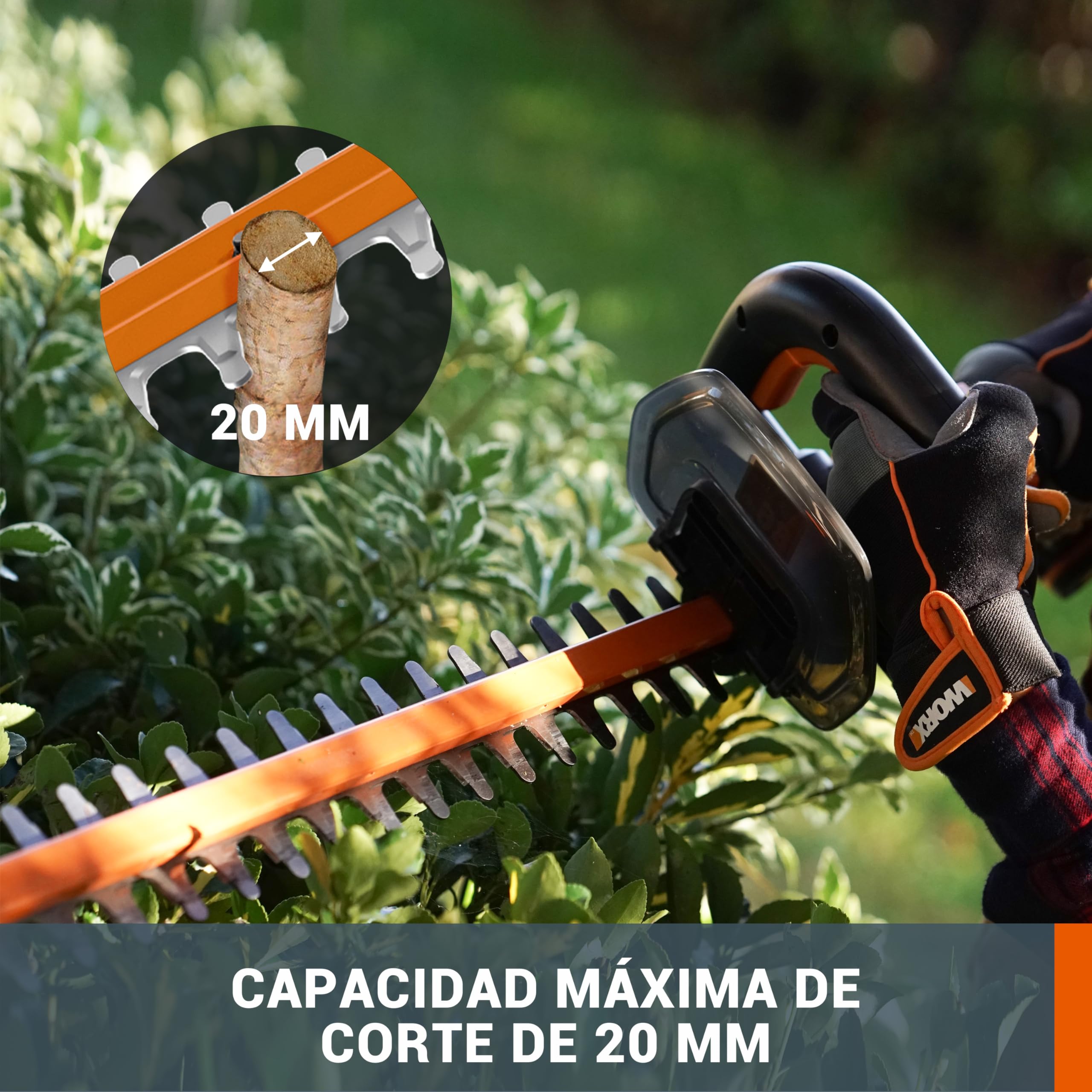 WORX Cortasetos a batería | WG264E | 20V Máx. | Batería 20V – 2Ah y Cargador Incluido |PowerShare | Cuchilla Doble Longitud Cuchilla 56 cm | Distancia Entre Dientes 20 mm |