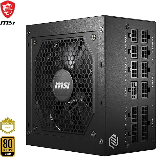 MSI MAG A750GL PCIE5 - EU cord - 3